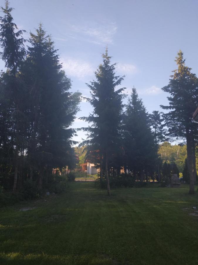 Nostalgia Noclegi Olsztyn  Extérieur photo
